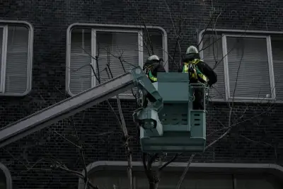 Landscaping & External Works